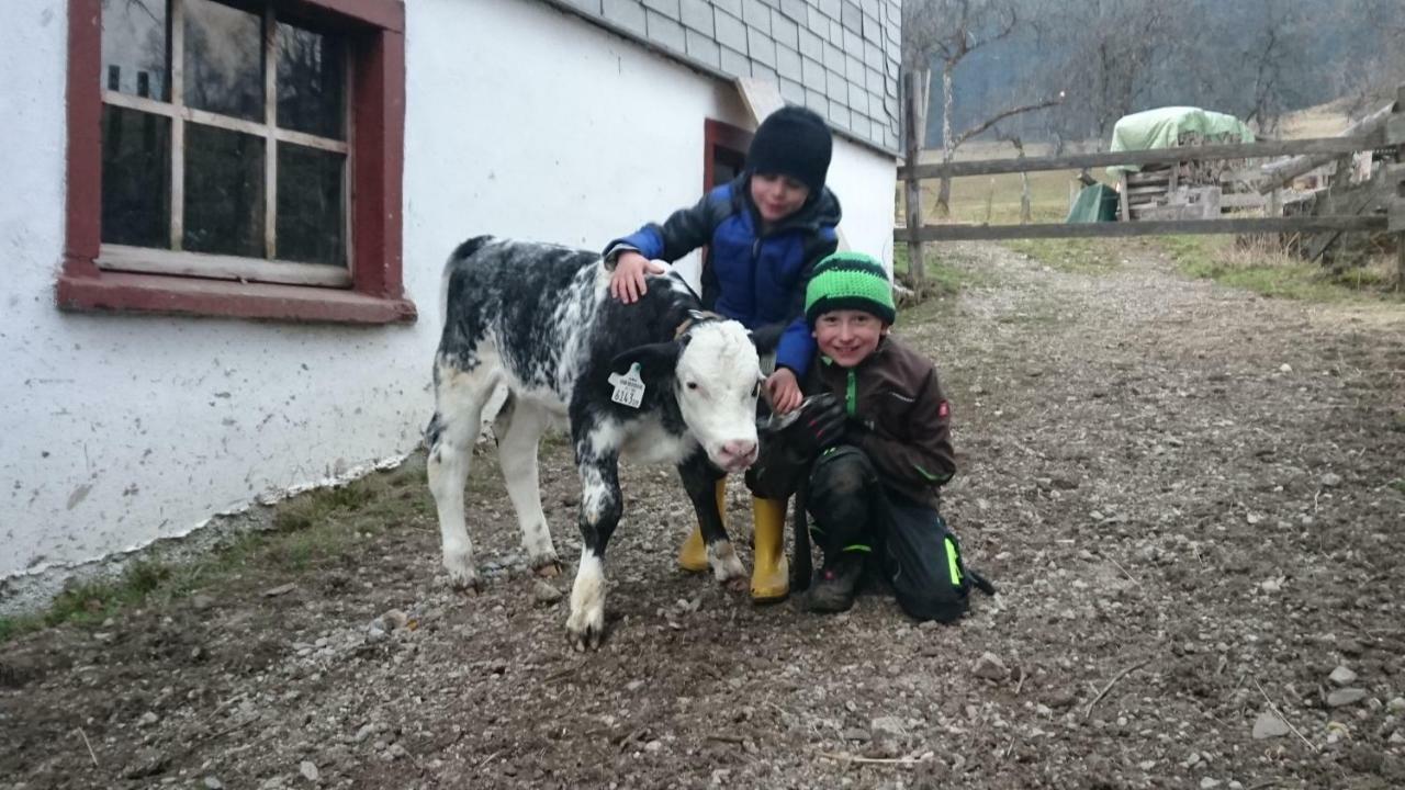 Fumerhof Strobl Ngoại thất bức ảnh